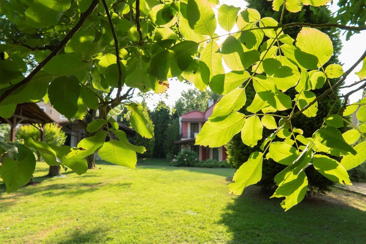 Kirkpinar Konaklari Villa Sapanca Esterno foto