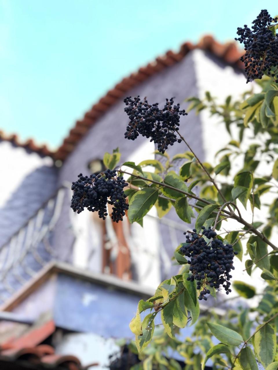 Kirkpinar Konaklari Villa Sapanca Esterno foto